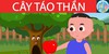 Cây táo thần