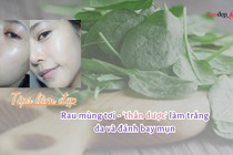 Rau mùng tơi - THẦN DƯỢC làm trắng da và đánh bay mụn