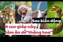 Sau biến động, 4 con giáp này làm ăn dễ “thăng hoa”, phát tài phát lộc