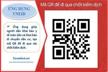 Hướng dẫn khai báo y tế và lịch trình di chuyển ở app VNEID